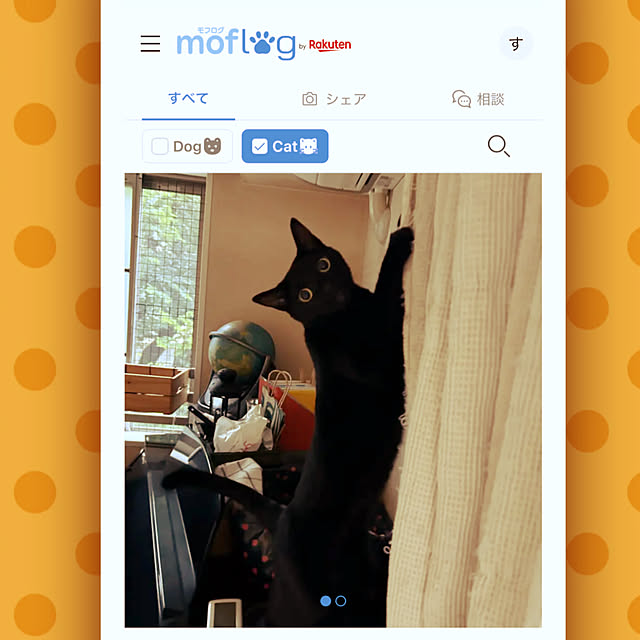 suemonta14さんの実例写真