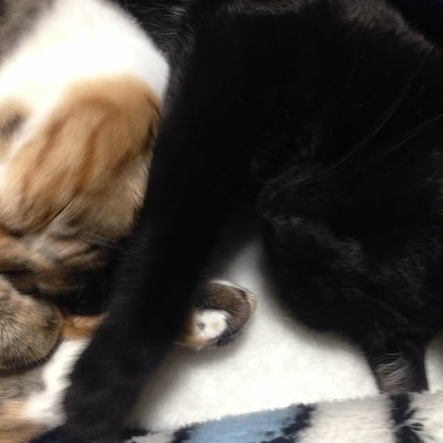 takaさんの実例写真