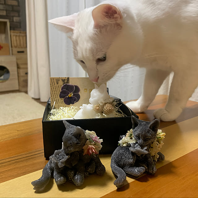 keiさんの実例写真