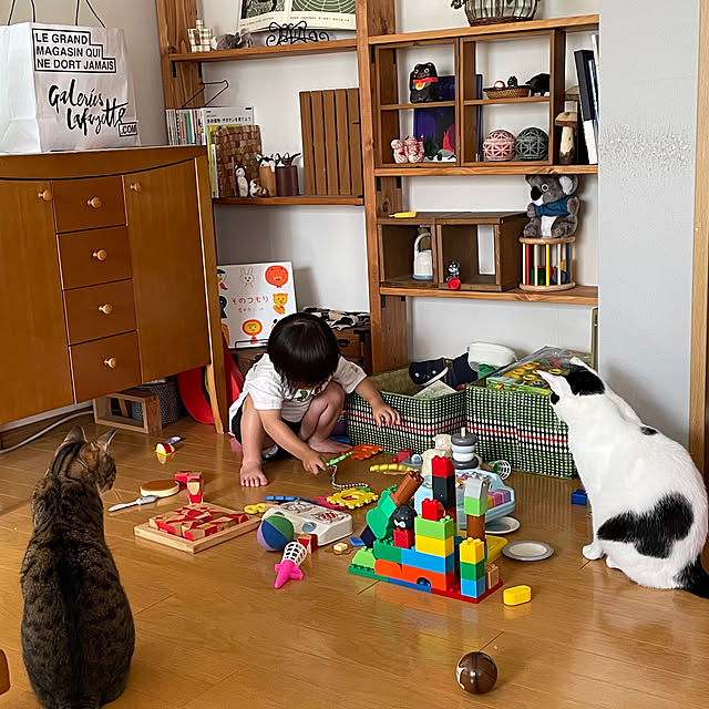 nobikoさんの実例写真