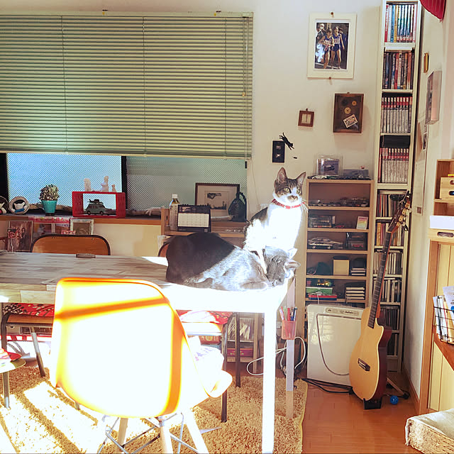 jijiさんの実例写真