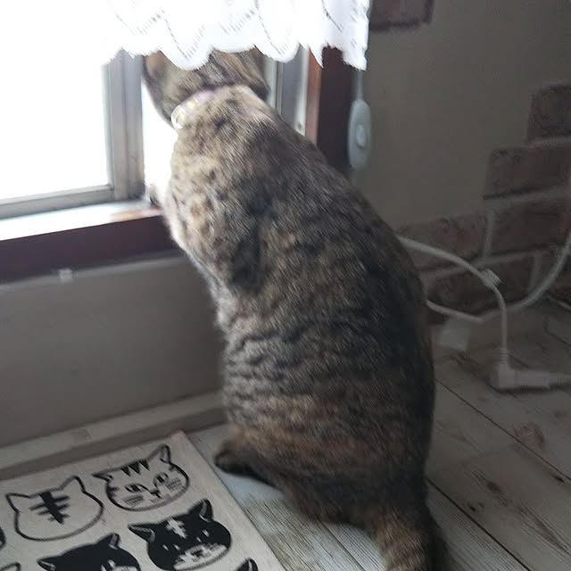 runaさんの実例写真