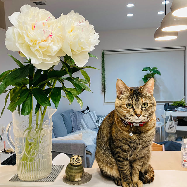 minminさんの実例写真