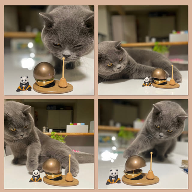 kittyさんの実例写真