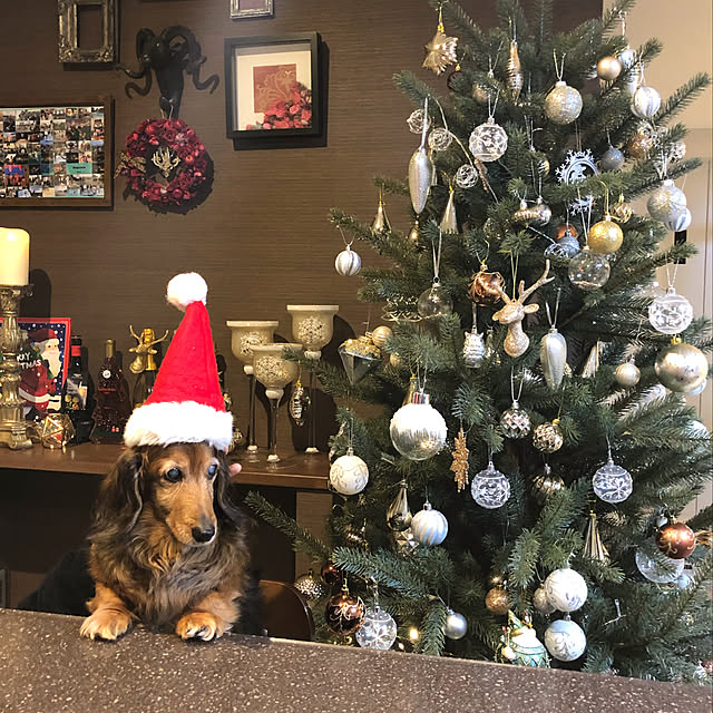 hisaminさんの実例写真