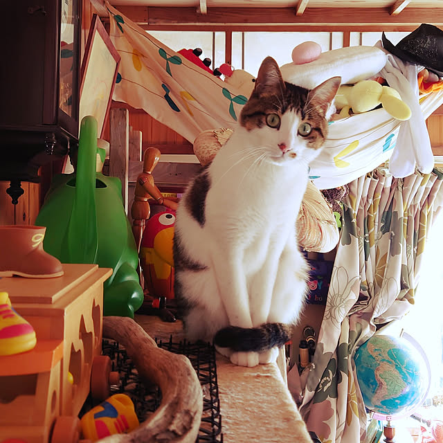 kikuさんの実例写真