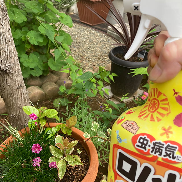 mamimamiさんの部屋