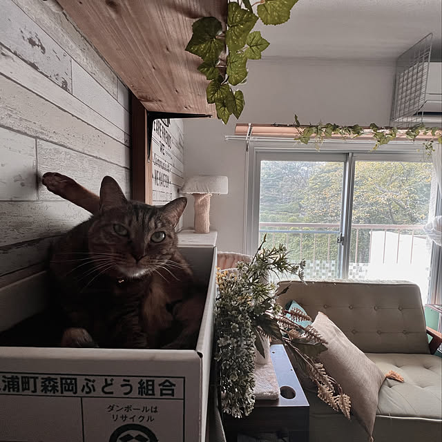 sumoanzuさんの実例写真