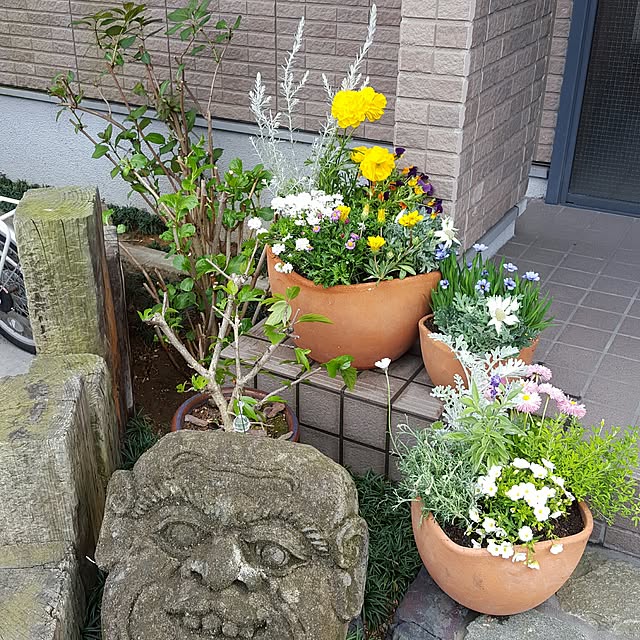 Kaccaさんの実例写真
