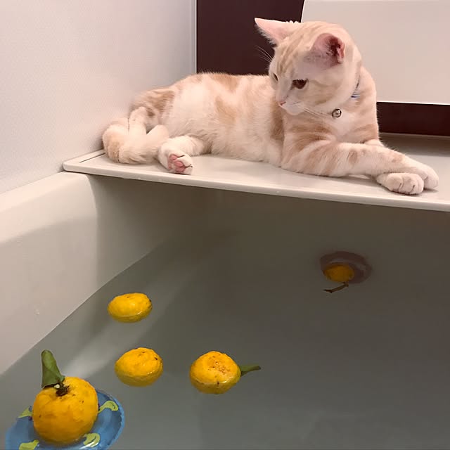 hiyupan88さんの実例写真