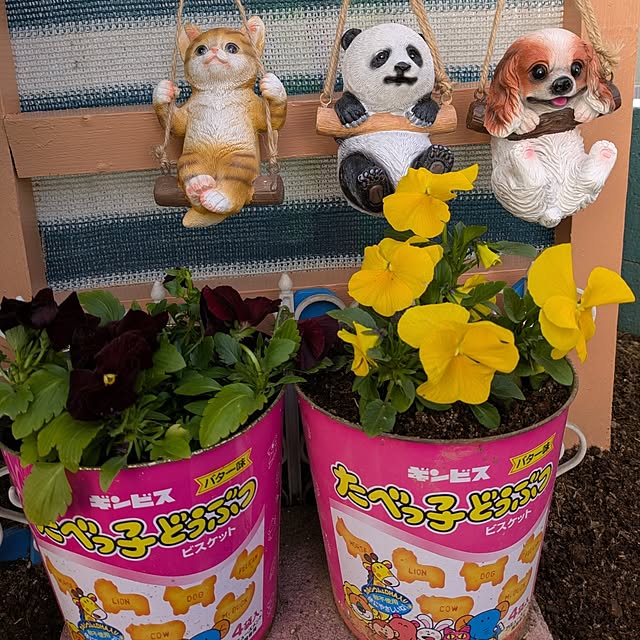Miyumamaさんの実例写真