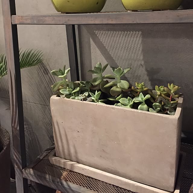 Kさんの実例写真