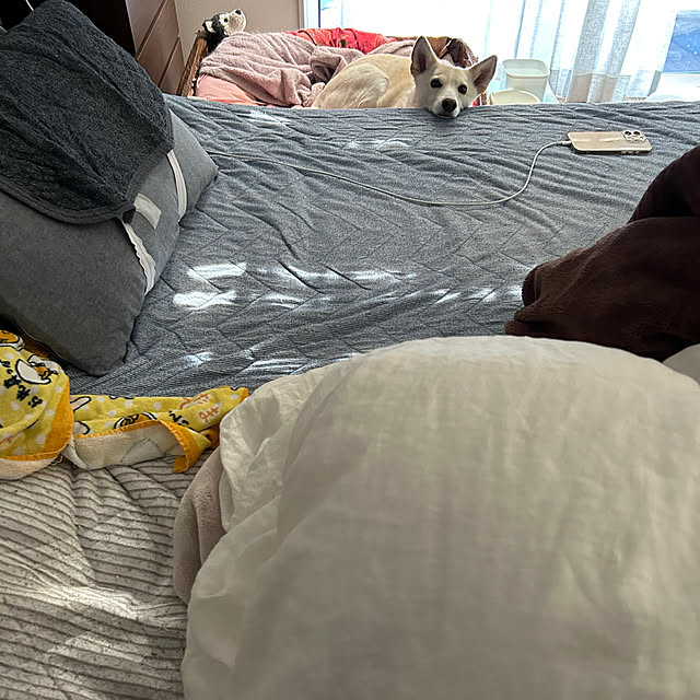 tanboさんの部屋