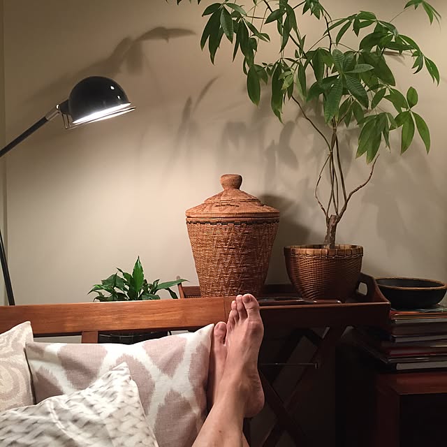 shinさんの実例写真
