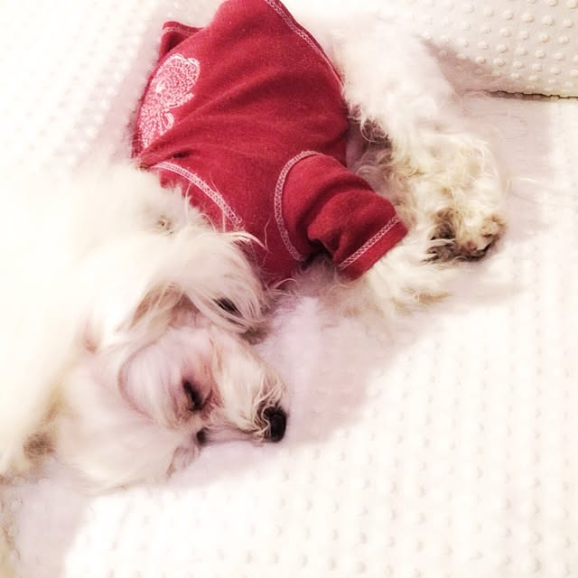 popiさんの実例写真