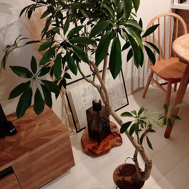 pyoin99さんの実例写真