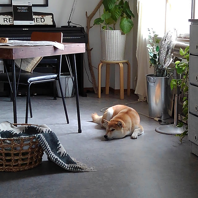 kさんの実例写真