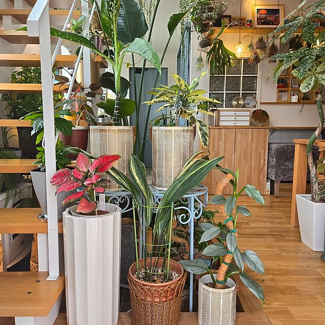 nonbiri_house_さんの部屋