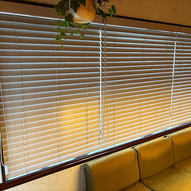 gospecialさんの部屋