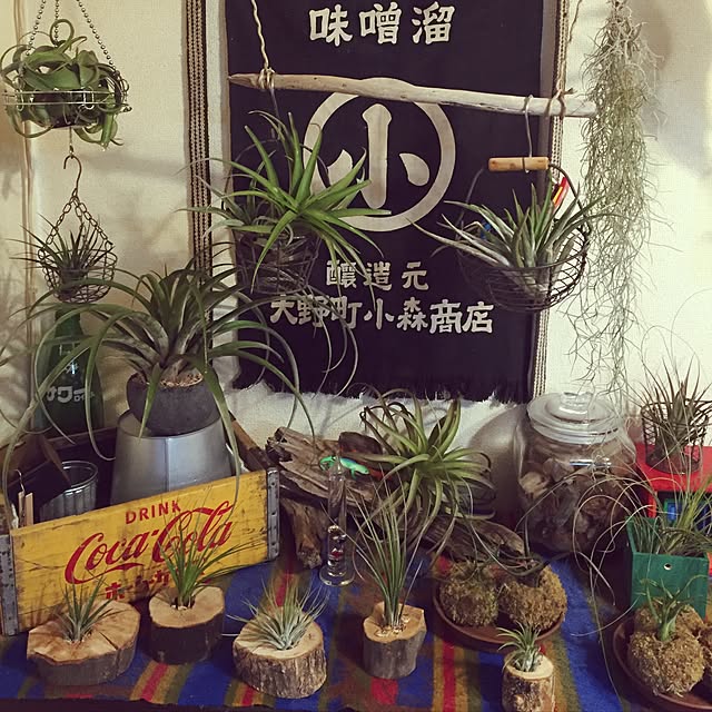 1623さんの実例写真