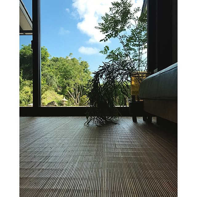 5mayさんの実例写真