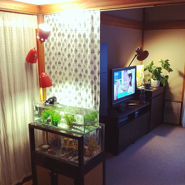 soramameさんの実例写真