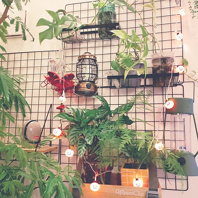 urchinさんの部屋