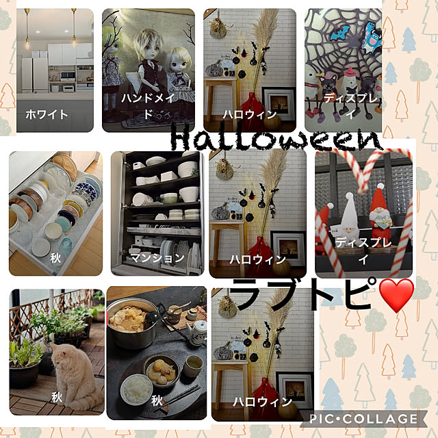 CoCo0617さんの実例写真