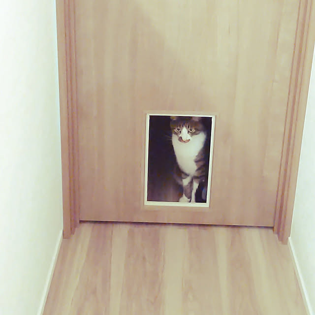 misoさんの実例写真