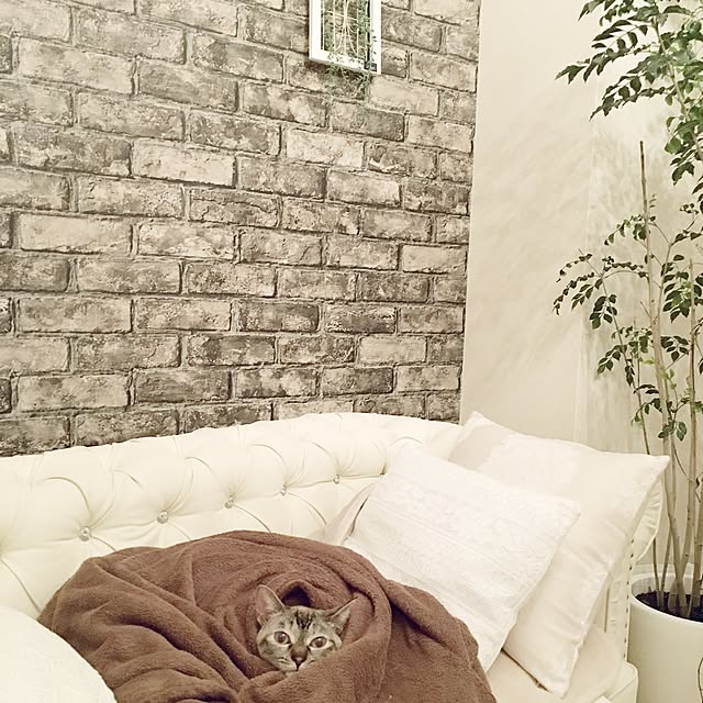 noelさんの実例写真