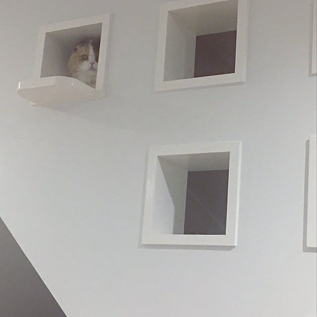Kaorinさんの実例写真