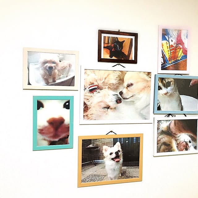 BLUE_BOXさんの実例写真