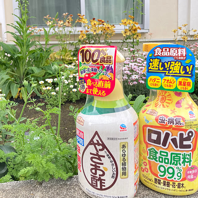 kuroさんの実例写真