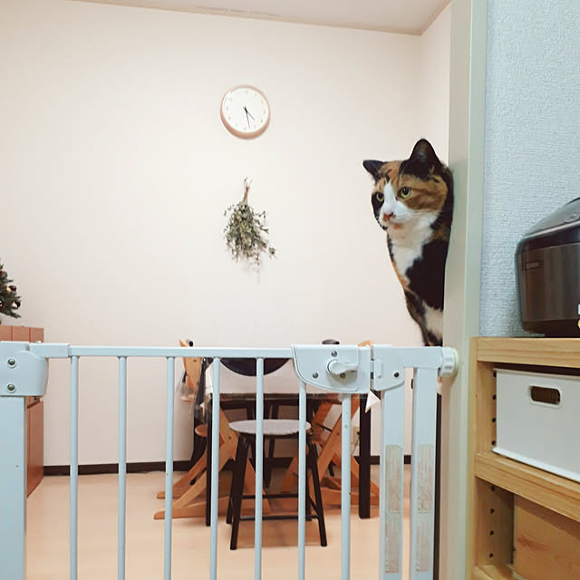 fumiyo.01さんの実例写真
