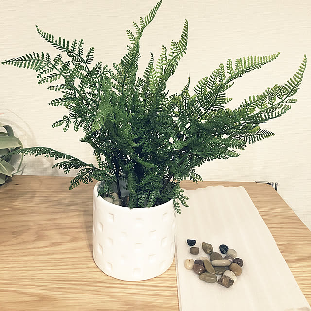 nanaさんの実例写真