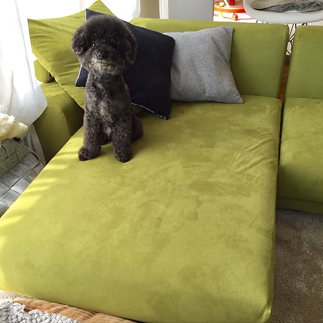 hizumさんの実例写真
