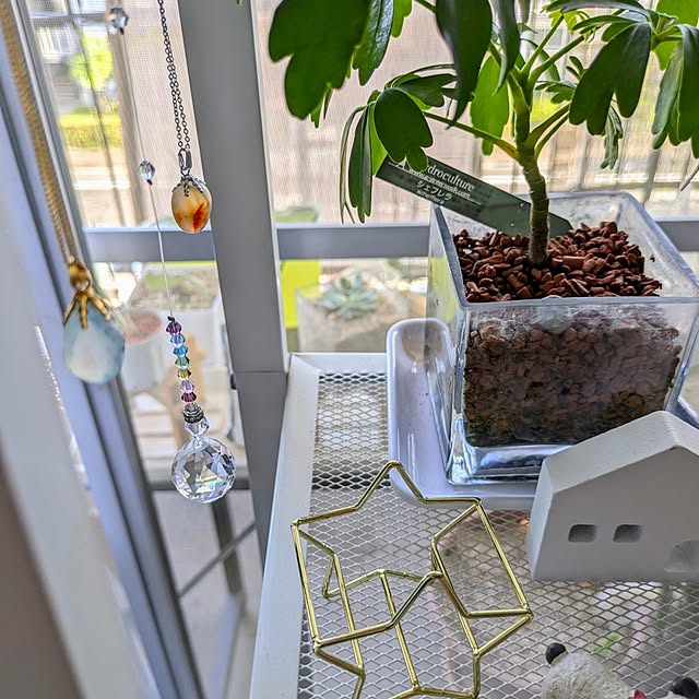 mi-saさんの部屋