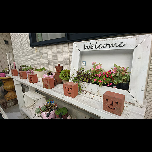 玄関/入り口/多肉植物/植物/DIYのインテリア実例 - 2017-08-22 17:20:43