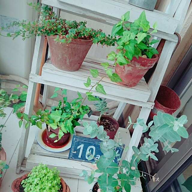 keiさんの実例写真