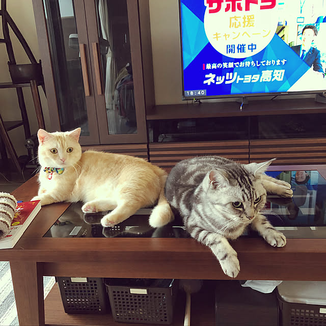 mutsuさんの実例写真