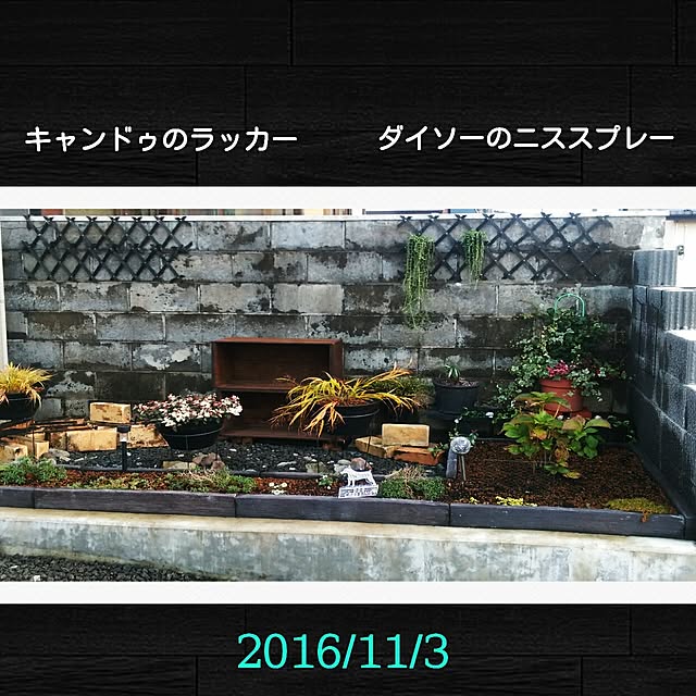 ikt.tamaさんの実例写真