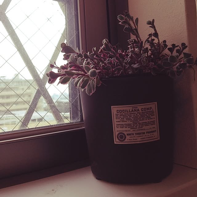 YUKAさんの実例写真