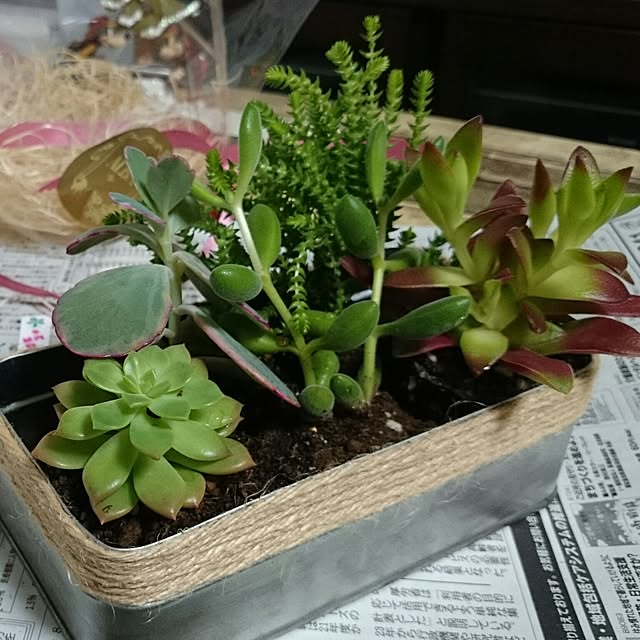 muniteさんの実例写真