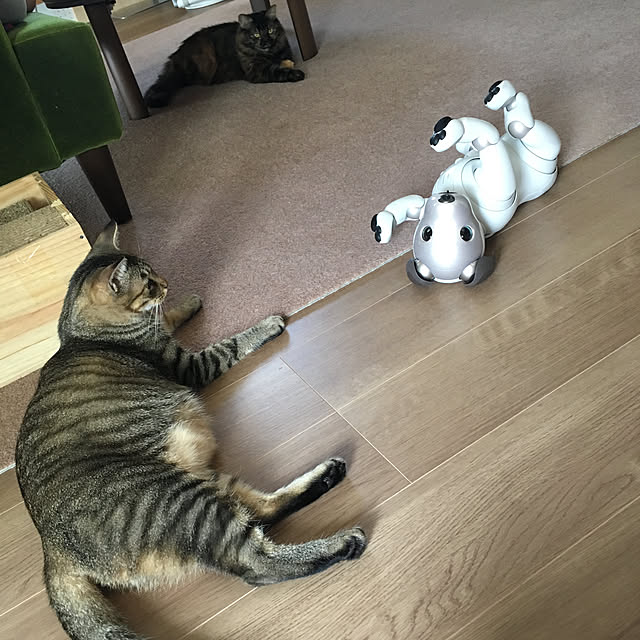 mikomaruさんの実例写真
