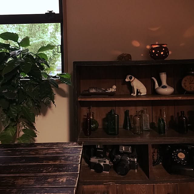 mikan161さんの実例写真