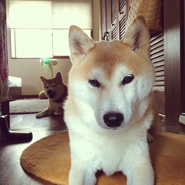 nicoさんの実例写真