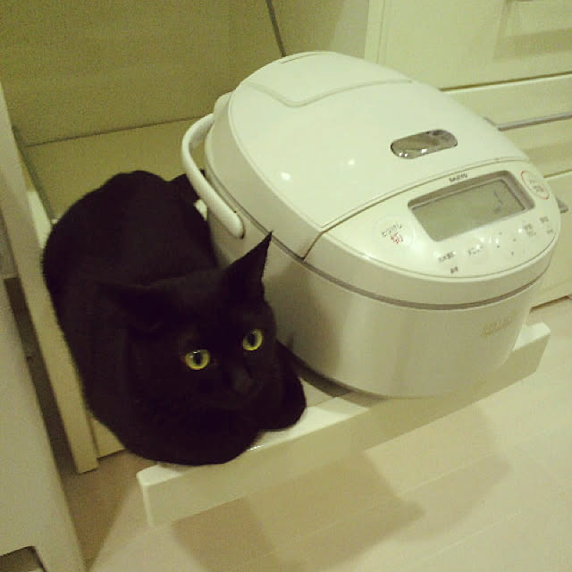 temariさんの実例写真