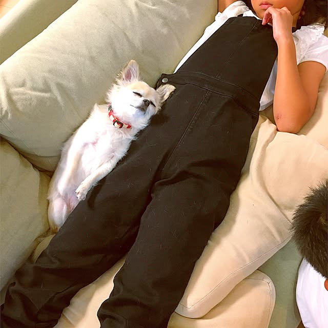 yukie52さんの実例写真