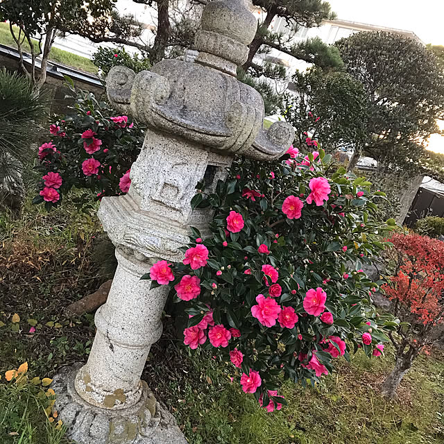 Nagakoさんの実例写真