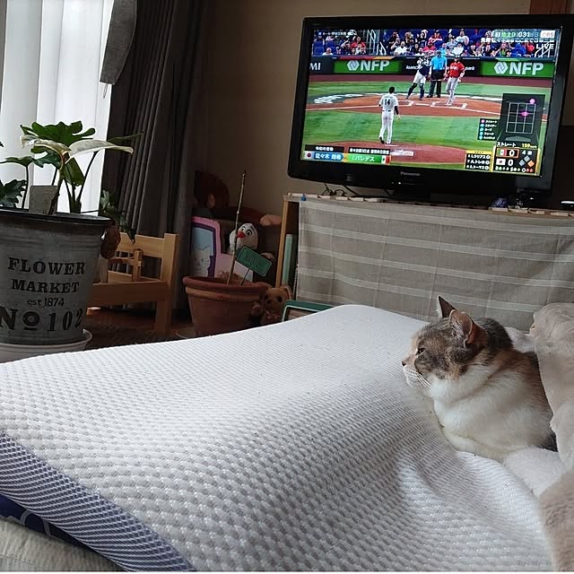 fukuさんの部屋